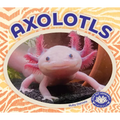 Axolotls
