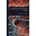 Nerves of the Human Body