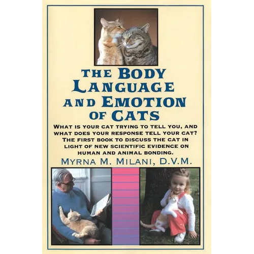 Cats Body Language