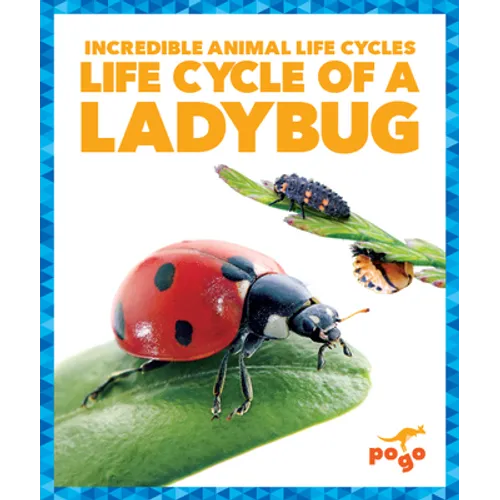 Life Cycle of a Ladybug