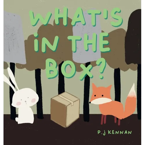 What's in the box?: A children's book about imagination and problem solving