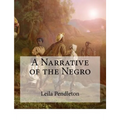 A Narrative of the Negro: (Large Print Edition)
