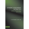 Dynamic Assessment in Practice