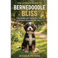 Bernedoodle Bliss: The Ultimate Guide to Choosing and Caring for Your Perfect Bernedoodle Pet