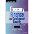 Treasury Finance and Development Banking, + Website: A Guide to Credit, Debt, and Risk