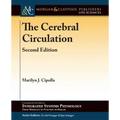 The Cerebral Circulation
