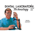 Dental Anatomy