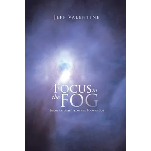 Focus in the Fog: Beams of Light from the Book of Job