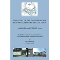 The Story of the Cardiff and Vale Perinatal Mental Health Team January 1998 - July 2020: And Other Musings - a personal view with a smattering of dive