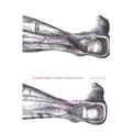 The Body Multiple: Ontology in Medical Practice