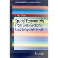 Spatial Econometrics: From Cross-Sectional Data to Spatial Panels
