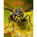 Wasp: Fun Facts Book for Kids with Amazing Photos