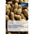 Groundnut Response to Moisture Conservation and Sulphur Nutrition