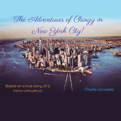 The Adventures of Chingy in New York City!