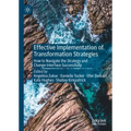 Effective Implementation of Transformation Strategies: How to Navigate the Strategy and Change Interface Successfully