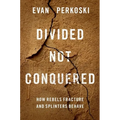 Divided Not Conquered: How Rebels Fracture and Splinters Behave
