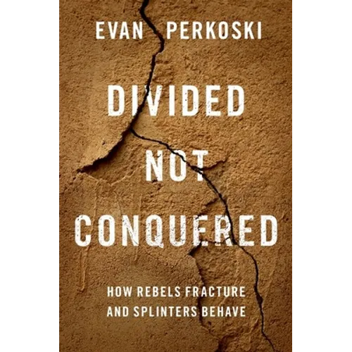 Divided Not Conquered: How Rebels Fracture and Splinters Behave