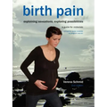 Birth Pain: Explaining Sensations, Exploring Possibilities (2nd Ed)