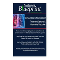 Small Cell Lung Cancer - Treatment Options and Alternative Medicine