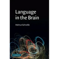Language in the Brain