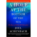 Hole at the Bottom of the Sea: The Race to Kill the BP Oil Gusher