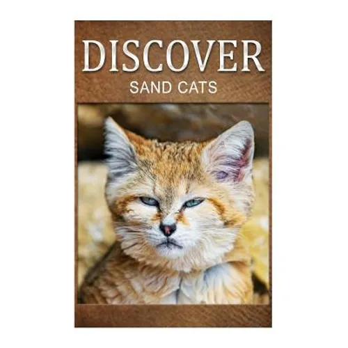 Sand Cats - Discover: Early reader's wildlife photography book