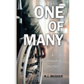 One of Many: A Posttraumatic Journey
