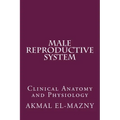 Male Reproductive System: Clinical Anatomy and Physiology