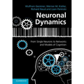 Neuronal Dynamics