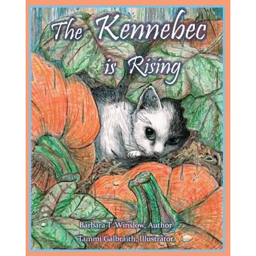 The Kennebec is Risiing