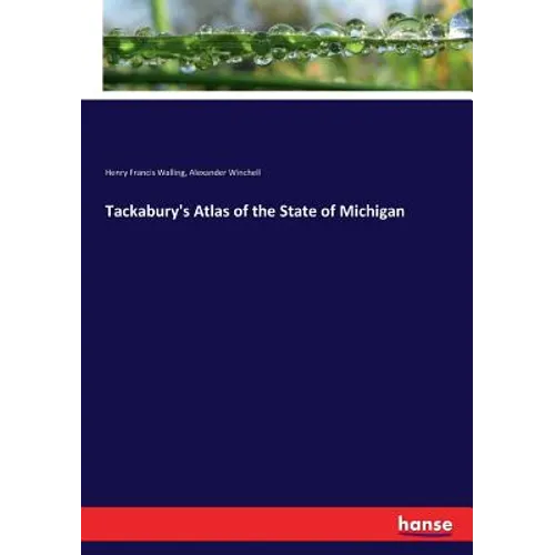 Tackabury's Atlas of the State of Michigan