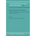 Geometric Group Theory: Volume 2