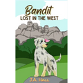 Bandit Lost in the West