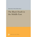 The Black Death in the Middle East