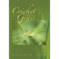 Cricket in the Grass: Memories of Chasing a Dream
