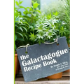 The Galactagogue Recipe Book