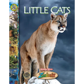 Little Cats