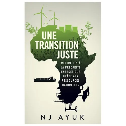 Une Transition Juste: Résorber La Pauvreté Énergétique Grâce Au Mix Énergétique