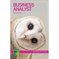 Business Analyst: Careers in business analysis