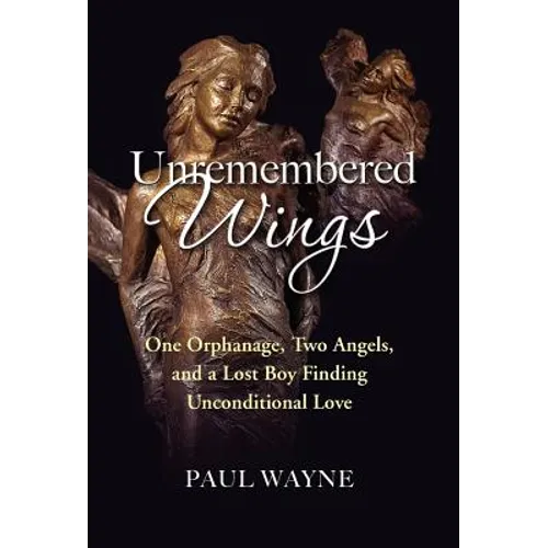 Unremembered Wings