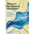 Where Is the Value in the Chain?: Pathways out of Plastic Pollution