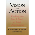 Vision in Action
