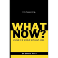 What Now?: Living in a world without jobs