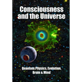 Consciousness and the Universe: Quantum Physics, Evolution, Brain & Mind