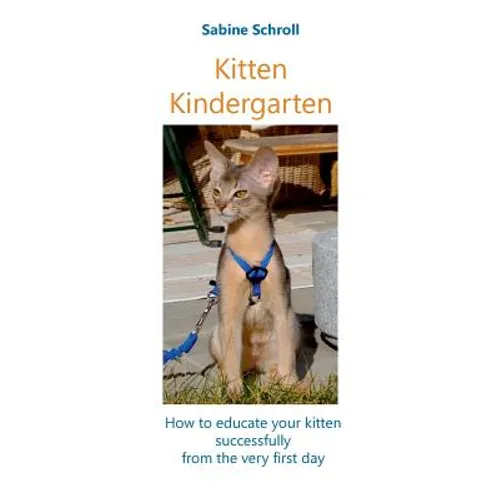 Kitten Kindergarten: How to educate your kitten successfully from the very first day