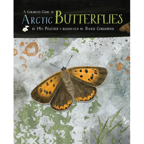 A Children's Guide to Arctic Butterflies