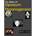 An Atlas of Opossum Organogenesis: Opossum Development