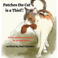 Patches The Cat is a Thief !