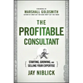 Profitable Consultant