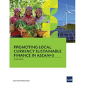 Promoting Local Currency Sustainable Finance in Asean+3